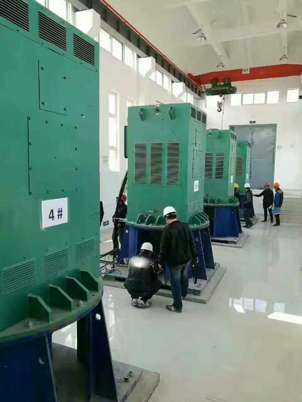 岱岳某污水处理厂使用我厂的立式高压电机安装现场