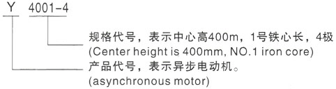 西安泰富西玛Y系列(H355-1000)高压岱岳三相异步电机型号说明