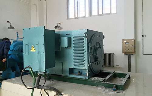 岱岳某水电站工程主水泵使用我公司高压电机一年质保